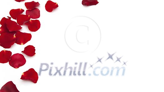 Rose petals in the corner Rose petals in the corner
