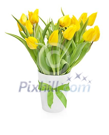 Isolated bouquet of yellow tulips in a white vase