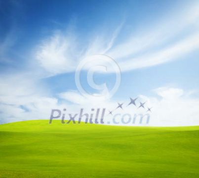 Grass field with sky Grass field with sky