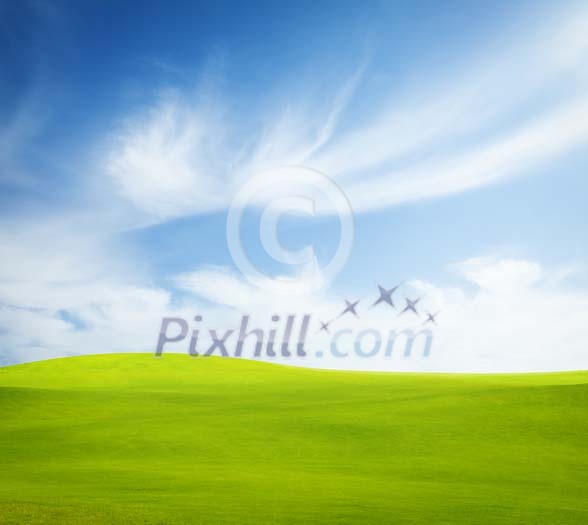 Grass field with sky Grass field with sky