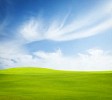 Grass field with sky