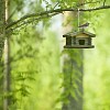 Bird sitting on a birdhouse