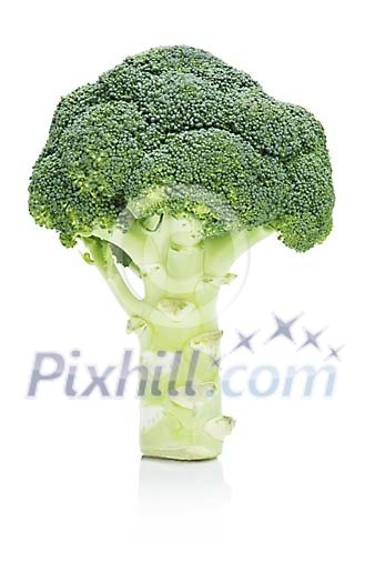 Isolated broccoli Isolated broccoli