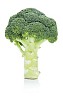 Isolated broccoli