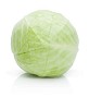 Isolated cabbage