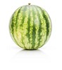 Isolated watermelon