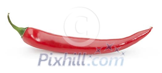 Isolated red cili pepper Isolated red cili pepper
