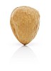 Isolated pecan nut