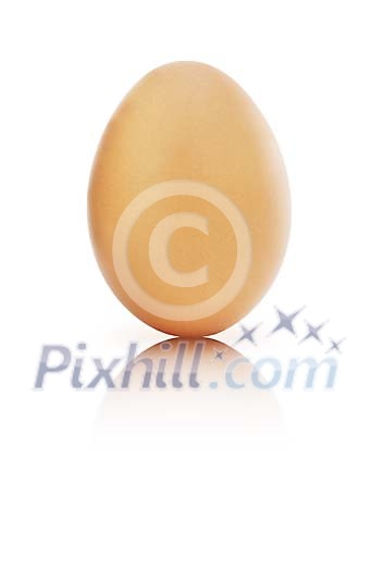 Isolated brown egg