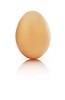 Isolated brown egg