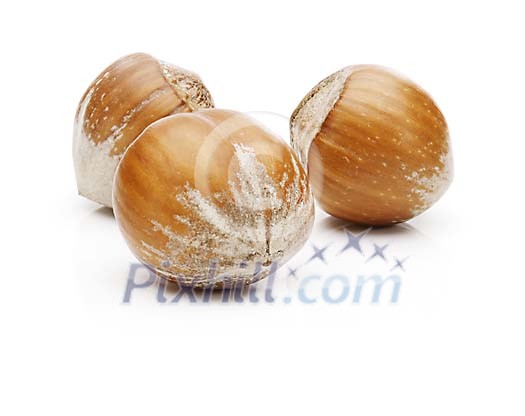 Isolated three hazelnuts Isolated three hazelnuts