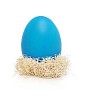 Blue egg on nest with hand made clipping path