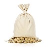 Isolated bag with coins in front of it