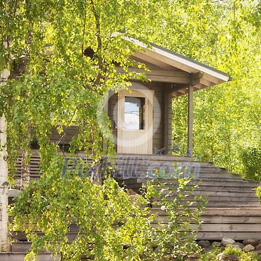 Cottage between birches Cottage between birches