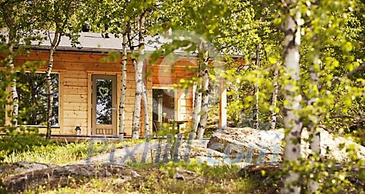Cottage between birch trees Cottage between birch trees