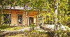 Cottage between birch trees