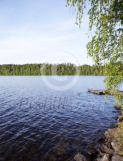 View to the summer lake