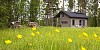 Cottage on a green meadow