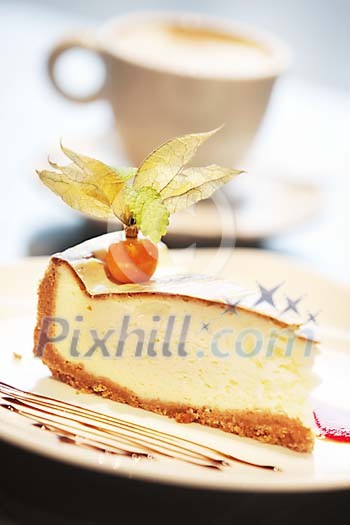 Slice of cake on the plate Slice of cake on the plate