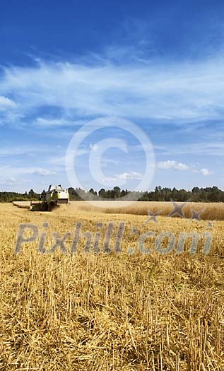 Harvesting on field