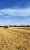 Harvesting on field