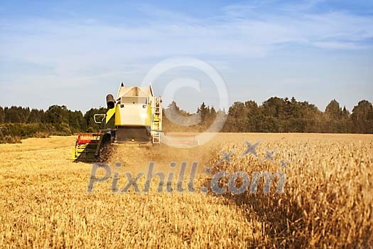 Combined harvester at work from behind Combined harvester at work from behind