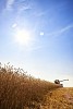 Harvesting corn on a sunny day