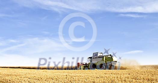 Harvesting the fields