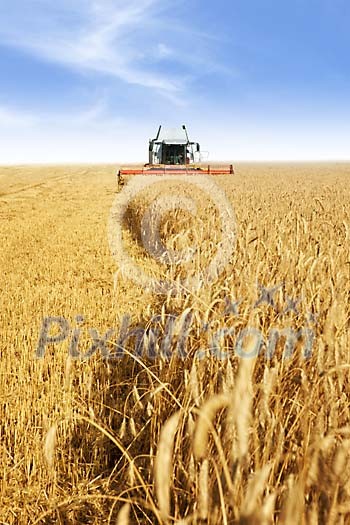 Harvester moving towards camera on a large field