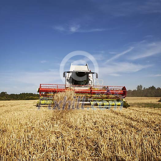 Harvester working on the field Harvester working on the field