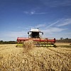 Harvester working on the field