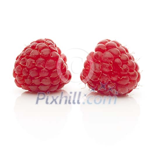 Isolated pair of raspberries