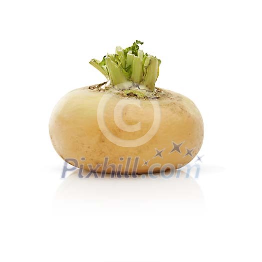 Isolated fresh turnip