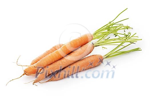 Isolated fresh carrots