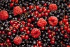 Background of redcurrants, raspberries and blueberries