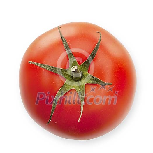 Isolated fresh red tomato