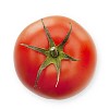 Isolated fresh red tomato