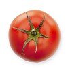 Isolated fresh red tomato