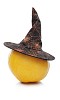 Isolated pumpkin with a witch hat