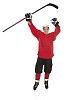 Isolated hockey player standing hands in the air