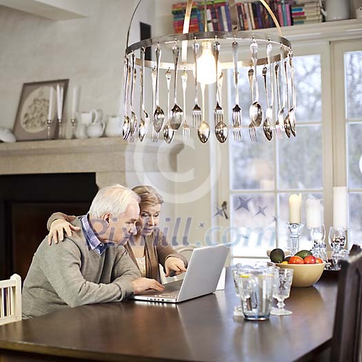 Senior couple using a laptop computer at home
