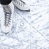 Skater standing on the ice