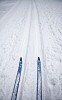 Skis on the ski tracks