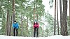 Couple skiing in the forest