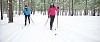 Couple skiing in the forest