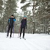 Couple skiing in the forest