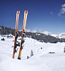 Skis in the snow