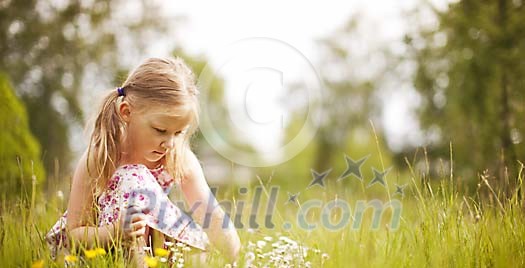 Small girl collecting flowers on a summery meadow