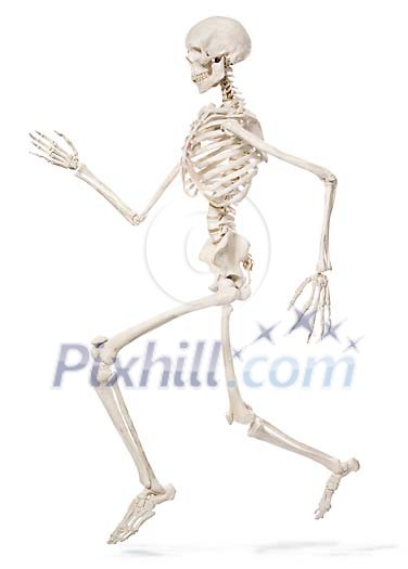 Isolated skeleton running