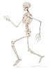 Isolated skeleton running